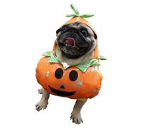 Lovely Pet Costume Breathable Polyester Outfit Festival Event Dressingup For Small Dog Cats Photography Accessories Pet Outfit For Various Occasion