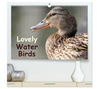 Lovely Water Birds (High Quality Premium Wall Calendar 2026 DIN A2 landscape),CALVENDO 12 Month Wall Calendar: Expressive moments of ducks, swans and wild geese