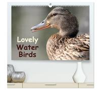 Lovely Water Birds (High Quality Premium Wall Calendar 2027 DIN A2 landscape),CALVENDO 12 Month Wall Calendar: Expressive moments of ducks, swans and wild geese