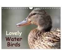 Lovely Water Birds (Wall Calendar 2027 DIN A4 landscape), CALVENDO 12 Month Wall Calendar: Expressive moments of ducks, swans and wild geese