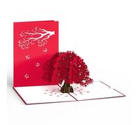 LOVEPOP Arce japonés Pop Up Card, Árbol Card, Nature Card, 3D Cards, Follaje, Pop Up Birthday Card, Tarjeta de felicitación