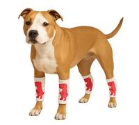 LovinPet Paquete de 4 rodilleras para perro, calentadores de piernas estilo dinosaurio para perros medianos y grandes, elástico en 4 direcciones, cobertura antilamidas, ajuste cálido y cómodo, talla