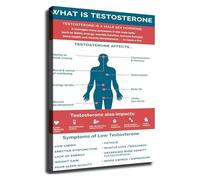 Low Testosterone Health Chart Symptoms Reference Poster Canvas Wall Art for Doctor Office(Unframed,16x24inch(40x60cm))