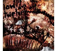Low Twelve - Skin In The Game (Cd/Dvd)