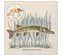 Lowe,Nick - Lay It On Me EP (12") [Vinilo]