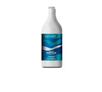 Lowell - Acondicionador Mirtilo con Arándanos - Adecuado para Todo Tipo de Cabello - Para Raíz Grasa - Brillo e Hidratación para Cabello Seco - 1000 ml