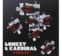 Lowkey & Kardinal - Puzzled