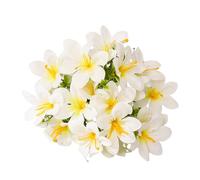 loyliawa Flores artificiales, flores falsas, plantas artificiales para interiores, rama de lirio artificial con tallo, 5 tenedores, 10 cabezas, flores sintéticas, decoración interior y exterior,