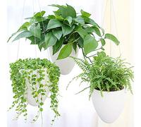 LOYUYU 3 Paquetes de Macetas Colgantes de Autoriego, Macetas de Flores de Aire de Macetas de Carne MúLtiple, CáScaras de Huevo úNicas Colgantes de Macetas de Carne MúLtiple Mate Blanco
