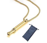 LOZTBUE 1 collar dorado para dejar de fumar, collar para dejar de fumar, ayuda para dejar de fumar, collar para dejar de fumar V2 original sin tabaco, con resistencia