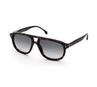 Lozza Hombre Lozza SL4330 ZILO 2.0 722K Gafas de sol Acetato la Habana Gris Cuadrada Normal Sombreado