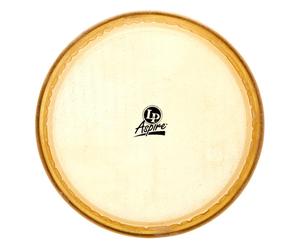 "LP A640B 11"" Conga Head Aspire"