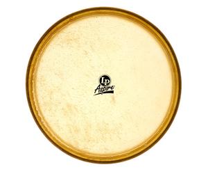 "LP A640C 12"" Conga Head Aspire"