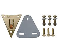 LP Latin Percussion Plato Lateral Conga Galaxia y Paladio, Oro - LP974