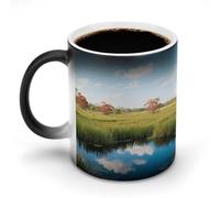 LPAGBCNU Taza de café de 325 ml del Parque Nacional Everglades que cambian de color, tazas de café que cambian de calor con asa, taza mágica sensible al calor para mujeres y hombres, divertida taza de