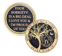LParkin 24 horas, chip de sobriedad de 1/2 año, moneda de recuperación del árbol de la vida, medallón de recuperación AA, regalos de sobriedad, medallón anónimo de alcohólicos (4 años)