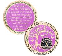 LParkin Moneda de sobriedad púrpura para mujeres, moneda de sobriedad del árbol de la vida, chips AA y medallones, regalos de sobriedad para mujeres, medallón anónimo de alcohólicos (10 años)