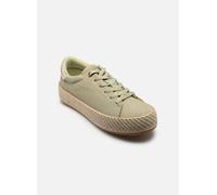 LPB -LES PETITES BOMBES C20K115 36 Verde