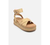 LPB -LES PETITES BOMBES C20N078 36 Beige