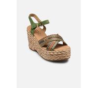 LPB -LES PETITES BOMBES C20N090 40 Verde