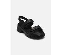 LPB -LES PETITES BOMBES C20N097 41 Negro