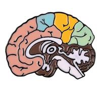 Lpitoy Broche De Cerebro, Pin De Anatomía Médica para Solapa, Pin Decorativo De Cerebro para Ropa, Chaquetas, Joyería Medicinal para Médico