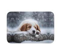 LPLSNWS Alfombrilla de baño antideslizante con estampado de perro durmiente y borde de 40 x 60 cm, apta para entrada, lavandería, aseo.
