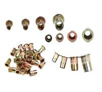 LPMPCZKZGF Tuerca remachadora for pistola remachadora roscada a mano, doble inserción, manual, herramienta for remachar tuercas remachadoras Pernos y tuercas(100pcs Nuts)