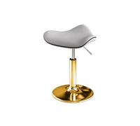 LQVAIPT Silla Baja de salón for Estilista for el hogar, Silla giratoria de Cocina con Base Redonda, Silla de Tatuaje de Altura Ajustable for salón de Oficina(Chrome)