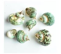 LQYXGS Decoración para el hogar con Piedras de Cristal 20 PCs/Lote Colgantes de Caracol Espiral Natural, Decorar