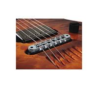 LR Baggs TB-CH Guitarra pastillas humbucker accesorios