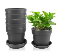 Lrocotanc Set de 6 macetas Decorativas Interior 14,5 cm con Plato - Maceteros Exterior de plástico, con múltiples Agujeros de Drenaje, Ideales para suculentas y Cactus, Color Negro