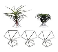 Lrtzizy Paquete de 5 soportes para plantas de aire, soporte para plantas de aire, pantalla de Tillandsias, plantas purificadoras de aire, contenedores de helecho, plata