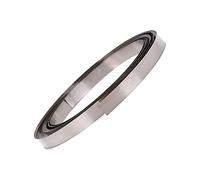 LSCAILIAO Chapa de Acero Inoxidable - Tira Delgada Estrecha de Metal para Laboratorios universitarios y Espesor de Bricolaje 0.8 mm, Longitud 5 m,Width 16