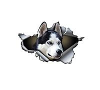 LSGGTIM 2 pegatinas reflectantes de PVC para coche, diseño de Husky, para ventana de coche, camión, frigorífico, 13 cm x 8 cm