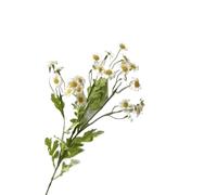 lskdnrufh 10 Pcs Artificial Daisy Flowers Fake Chamomile Bouquet - Realistic Floral Home Decor for Living Room, Bedroom, Wedding Silk Lifelike(White)