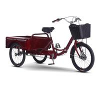 LSQXSS Triciclo Plegable para Personas Mayores, con Cuadro bajo, Ruedas de 20", 3 Ruedas con Pedales para Adultos, Hombres y Mujeres, Triciclo de Carga con Compartimento Grande y Timbre Giratorio