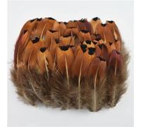 LSUAOSSUE Plumas Naturales de faisán, Paquete Multicolor de Plumas de faisán de 50 for Manualidades de Bricolaje(N01)