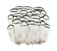 LSUAOSSUE Plumas Naturales de faisán, Plumas De Faisán De 4-8 Cm for Manualidades DIY Paquete De 20, 50, 200 Piezas(20 Piece)