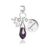 LSxAB Colgante en forma de lágrima con piedra de nacimiento de 12 constelaciones para mujer, signo del zodiaco, compatible con las pulseras Pandora, Cobre, No es una piedra preciosa