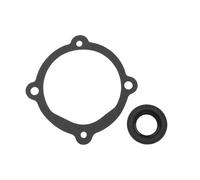 LT Easiyl 2 juntas de sello de bomba de agua 22072 827247 RM22072 compatible con Volvo Penta AQ120 131 145 151 171 230 250