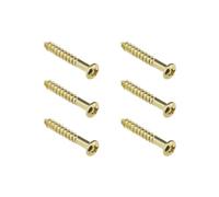 LT Easiyl 6 tornillos para puente de trémolo, estilo PRS, tornillos de fijación para puente de guitarra eléctrica, acero aleado, para placas de cuello de guitarra eléctrica, cubiertas traseras doradas