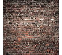 LTLYH 8 x 8 pies Red ladrillo pared fotografía telón de fondo vintage tema piedra ladrillo diseño fotografía fondo bebé cumpleaños fiesta decoración foto stand estudio Prop 135..