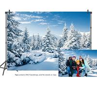LTLYH Telón de fondo de escena de invierno nevado de 10 x 8 pies para fotografía, paisaje de Navidad e invierno