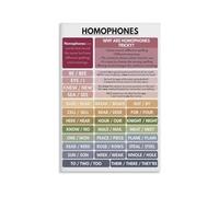LTRAJUYNH English Language Learning Metal Sign Featuring Common Homophones and Correct Spelling for Study Room Teacher Resources 8 X 12 inch