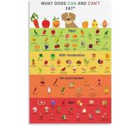 LTRAJUYNH What Foods Are Safe for Dogs Educational Guide Poster Canvas for Living Room Bedroom Home Decor(Unframed,08x12inch(20x30cm))