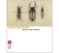 Luca Caccioni. Quello Che Sembra. E [Italia] [DVD]