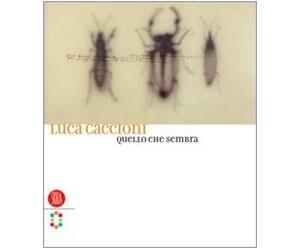 Luca Caccioni. Quello Che Sembra. E [Italia] [DVD]