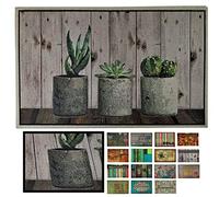 LucaHome - Felpudo Entrada casa de Goma-Flocada 40x70 cm Arizona Forma Base Antideslizante- fácil Limpieza- Felpudo Absorbente Acolchado- Fepudo para Exterior e Interior (Cactus)