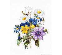 Luca-S B2348 - Ramo de flores con manzanilla de punto de cruz, algodón, multicolor, 19 x 24,5 cm